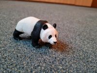 Schleich Pandabär Tiere Schleichtiere Nordrhein-Westfalen - Lübbecke  Vorschau