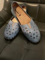 Hush Pupples echt Leder Damen Schuhe Gr.42 Sachsen - Döbeln Vorschau