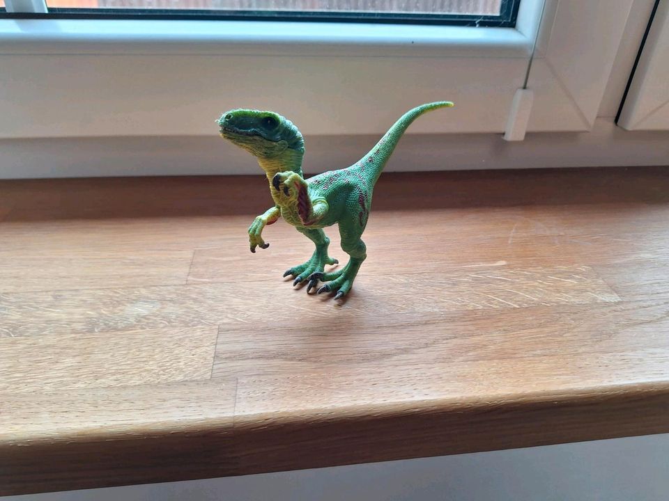 Schleich Dinosaurier in Friemar