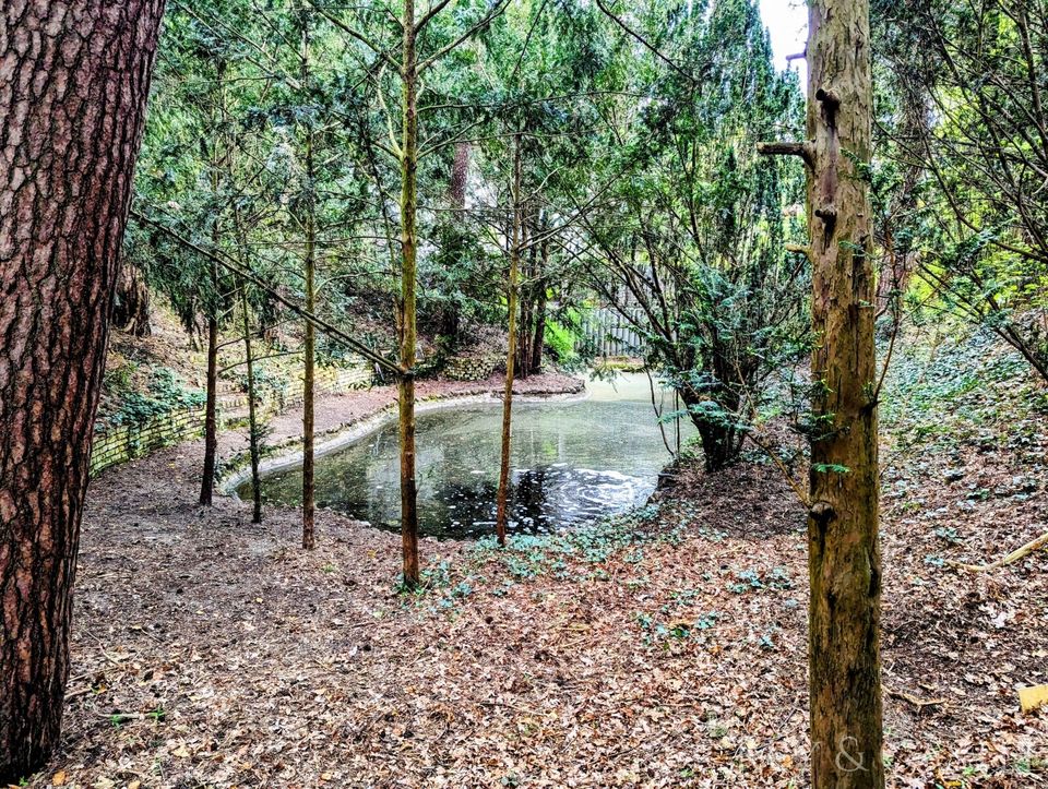 Über 1000 m² märchenhaftes Anwesen mit Teich, Sauna und Baureserve in Frohnau in Berlin