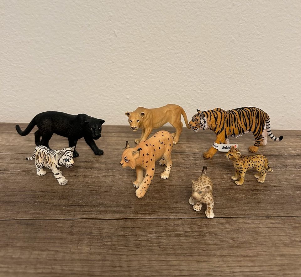 Schleich 7 Tiere Raubkatzen Panther Lux Jungtiere Tiger Löwe in Rahden