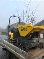 Dumper / Kettendumper mieten | ab 50€ Nordfriesland - Drage Vorschau