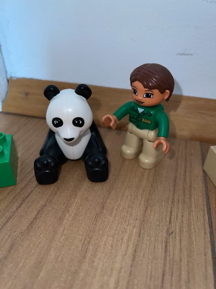 Duplo Tierpflegerin mit Panda 6173 in Düsseldorf