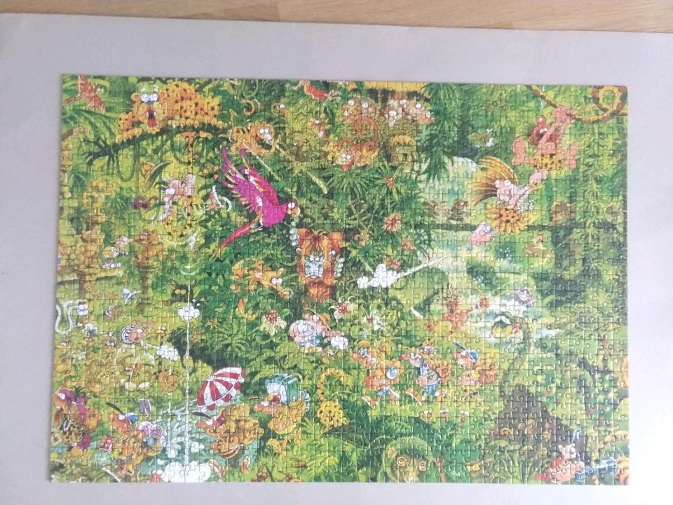 1000 Teile Puzzle von Schmidt in Köln