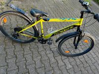 26 Zoll Fahrrad Nordrhein-Westfalen - Langenfeld Vorschau
