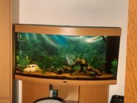 Aquarium Juwel Vision 260, Buche Nordrhein-Westfalen - Breckerfeld Vorschau