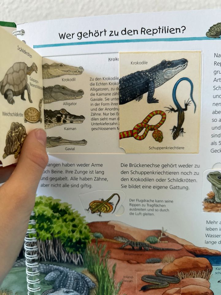 Buch über Reptilien in Bernau