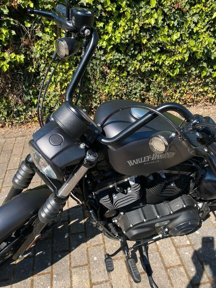 Harley-Davidson Sportster Iron 883 in Uetze