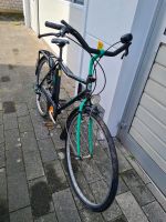 Kettler Fahrrad Nordrhein-Westfalen - Burscheid Vorschau