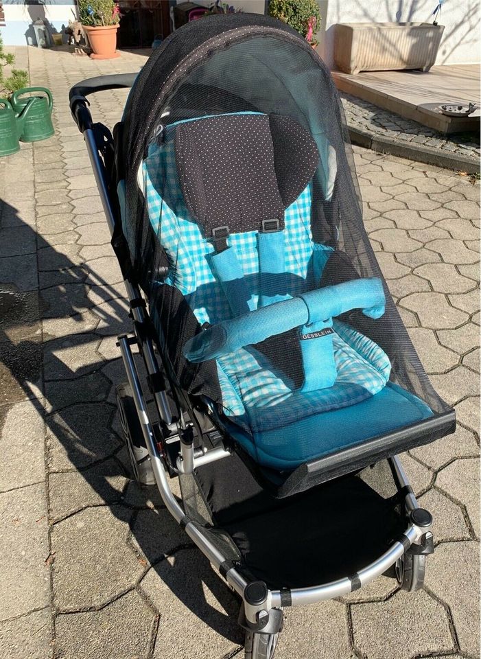 Gesslein F6 Air+ Kinderwagen in Berg