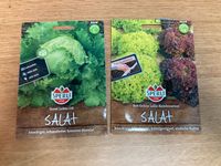 10er-Set Saatgut Samen z.T. Saatband Gemüse Erdbeeren Salat Hessen - Wald-Michelbach Vorschau