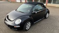 VW New Beetle United Cabrio Nordrhein-Westfalen - Ahaus Vorschau