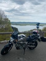 Yamaha FZ6 Obergiesing-Fasangarten - Obergiesing Vorschau