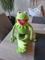 Kermit der Frosch Rheinland-Pfalz - Wallmerod Vorschau