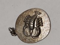 Anhänger " Scorpion" in Silber (925) ..ca 2 cm gross!!! Hessen - Hessisch Lichtenau Vorschau