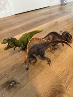 Schleich Dinosaurier - Preis pro Stck. Niedersachsen - Westoverledingen Vorschau