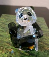 Swarovski limitierte Ausgabe 2008 SCS Panda- Baby 905543 OVP Frankfurt am Main - Sachsenhausen Vorschau