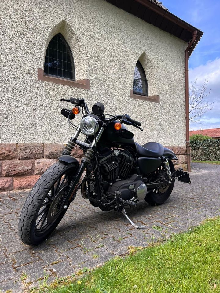 Harley-Davidson Iron XL883N in Waldmohr