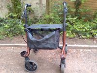 Taima Rollator fast neu Bj 2021 Berlin - Reinickendorf Vorschau