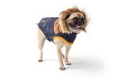 10% Rabatt GF Pet LODGE Parka Hundewintermantel navy M RL 38 Bayern - Kleinaitingen Vorschau