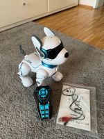 Ziggy Roboter Hund München - Laim Vorschau