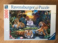 Schönes 3000er Puzzle Ravensburger Brandenburg - Fürstenwalde (Spree) Vorschau