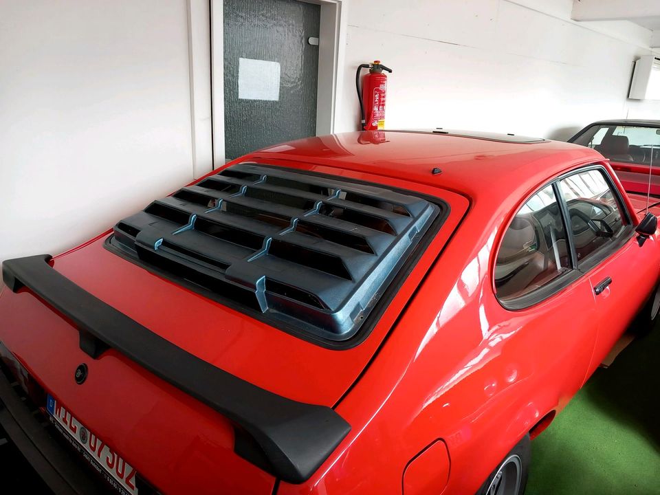 Ford Capri Katzentreppe / window Louver / Heckjalosie in Veldenz