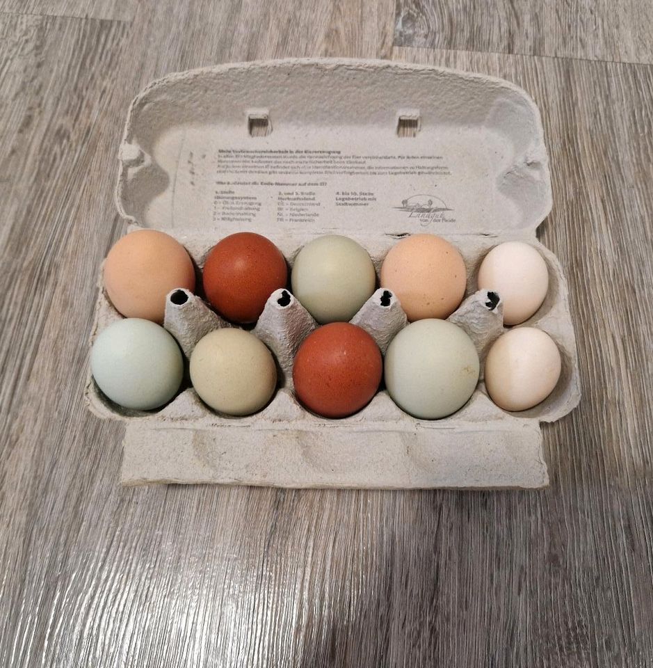 Frische Eier von glücklichen Hühnern in Stadthagen