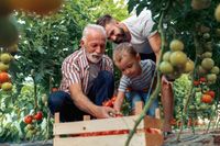 Kaufen Sie jetzt ihr Traumhaus. Im März beginnt die Gartensaison. Hessen - Biebergemünd Vorschau