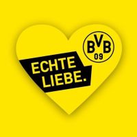 1 Dauerkarte BVB Stehplatz Südtribüne gesucht Baden-Württemberg - Walzbachtal Vorschau