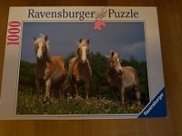 Ravensburger Puzzle Wehende Mähnen 1000 Teile Brandenburg - Oranienburg Vorschau