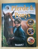 Pferde und Ponys Reitsport,Pflege,Rassen Nordrhein-Westfalen - Solingen Vorschau