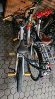3 Fahrräder, Hollandrad, Mountainbike, BMX Bayern - Regensburg Vorschau