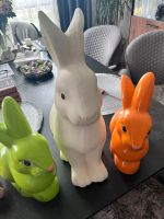 Figur Hase Köln - Porz Vorschau