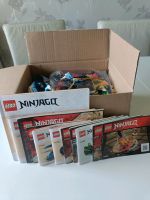 Lego Ninjago Sets 71770 71800 71762 71761 71784 & weitere Nordrhein-Westfalen - Leopoldshöhe Vorschau