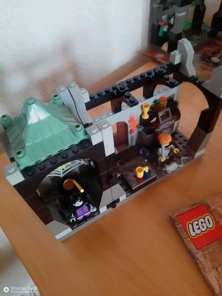 Lego 4705 Harry Potter - Prof. Snapes Class in Waldkirchen