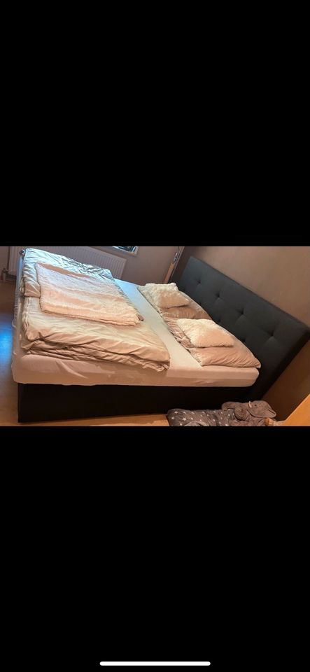 Bett/ Boxspringbett in Altleiningen