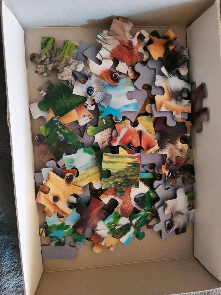 3D Puzzle Hunde in Gadebusch