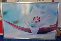 Wandbild Lilie 78 x 116 cm Nordrhein-Westfalen - Beckum Vorschau