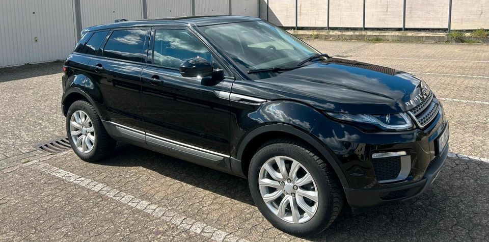 Range Rover Evoque in Gifhorn