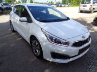 Kia Ceed 1.6 Dream-Team Bayern - Regensburg Vorschau