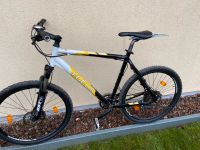 Mountainbike Focus FAT Boy Nordrhein-Westfalen - Schieder-Schwalenberg Vorschau