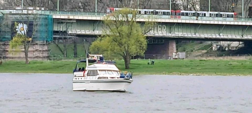 Motoryacht Neptunus 133 Fly. in Köln