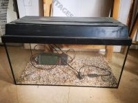 Aquarium 60 Liter, Lampe und Pumpe Hessen - Heidenrod Vorschau