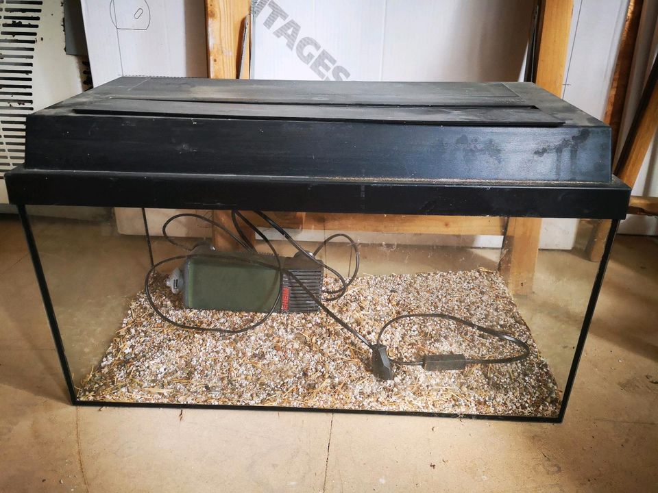 Aquarium 60 Liter, Lampe und Pumpe in Heidenrod