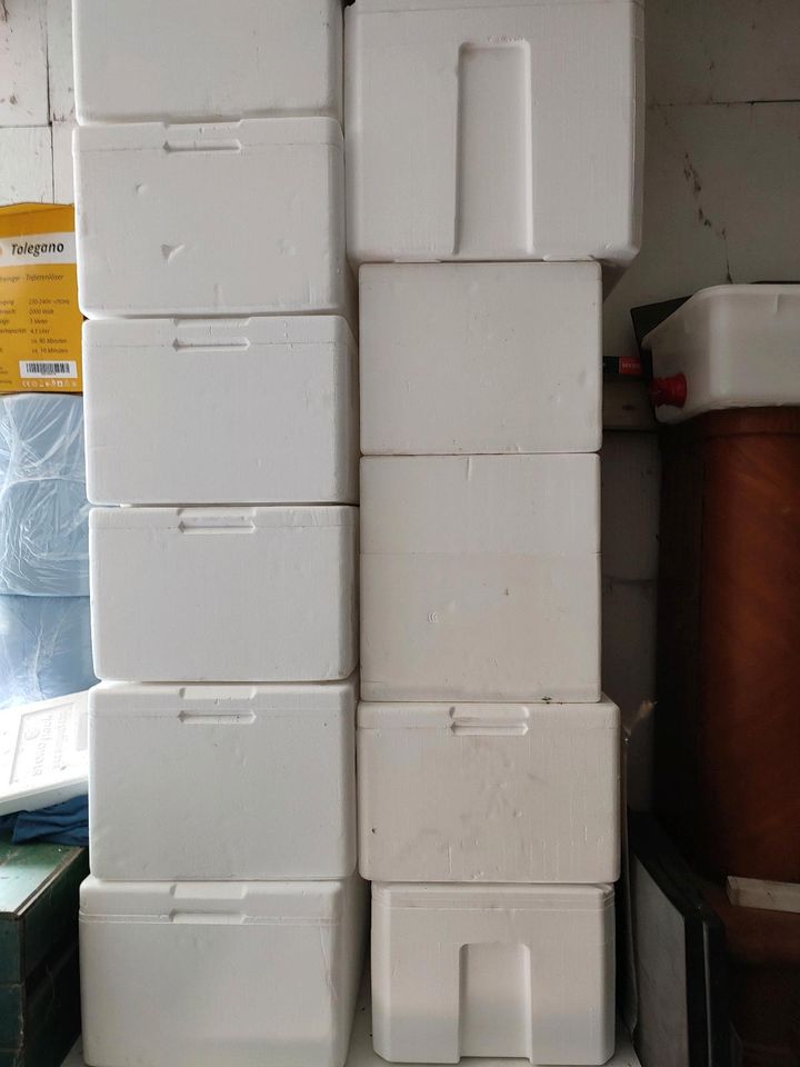 Styropor-Boxen mit Deckel, 40x60 cm in Ihlienworth