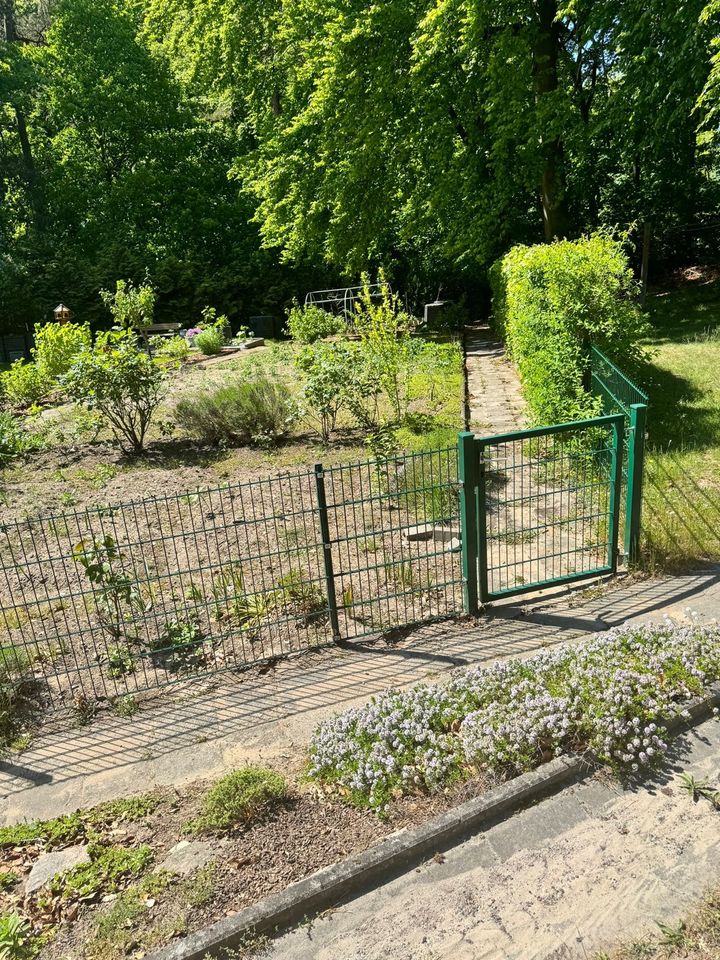 Wohnung im Seebad Heringsdorf in Seebad Heringsdorf