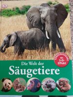 Kinderbuch Die Welt der Säugetiere günstig abzugeben Schleswig-Holstein - Schönhorst Vorschau