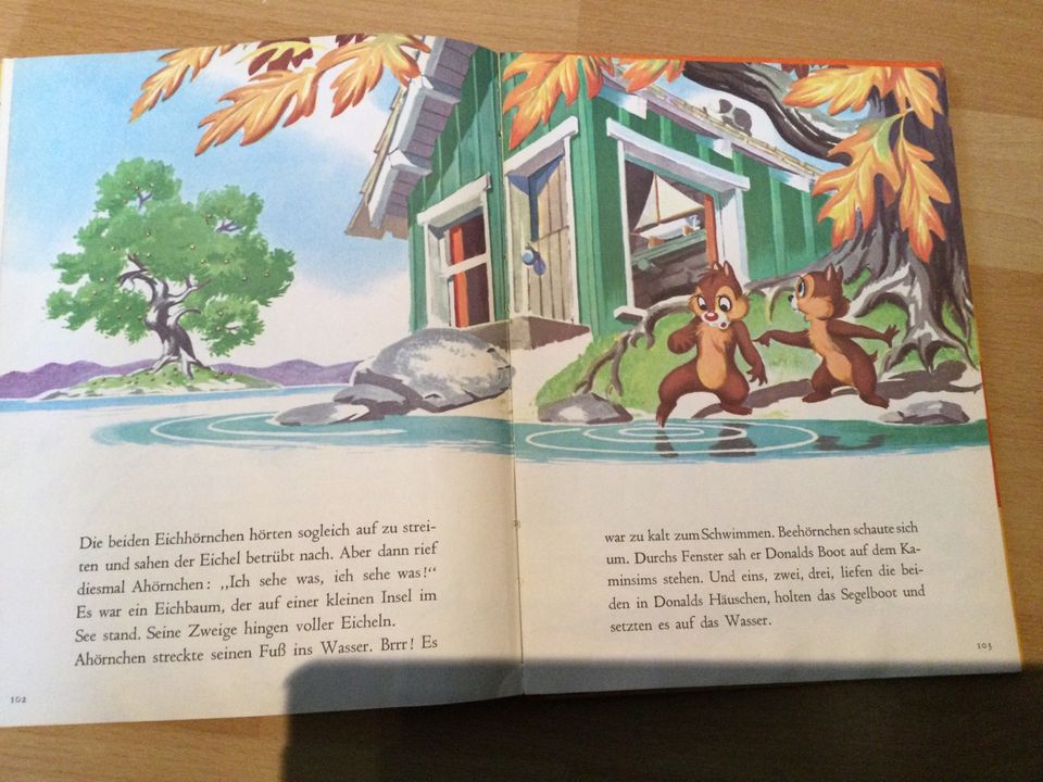 1967 Das grosse Donald Duck Buch,Walt Disney,Delphin Verlag in Neunkirchen a. Brand