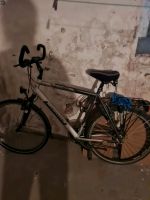 Herrenfahrrad Morrison Tr220 Nordrhein-Westfalen - Waltrop Vorschau